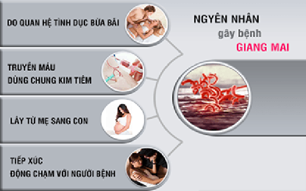 Nguyên nhân gây bệnh giang mai