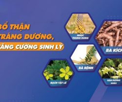 cay-thuoc-nam-bo-than-trang-duong