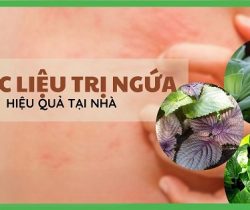 cay-thuoc-tri-ngua-ngoai-da