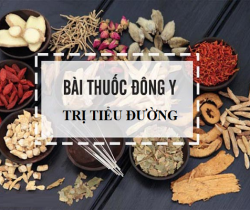 benh-tieu-duong-theo-y-hoc-co-truyen-hieu-dung-de-tri-tan-goc
