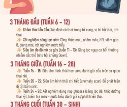 cac-moc-kham-thai-quan-trong