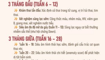CÁC MỐC KHÁM THAI QUAN TRỌNG MẸ BẦU CẦN GHI NHỚ