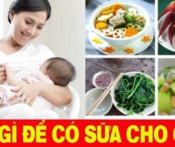 sau-sinh-an-gi-cho-nhieu-sua