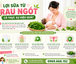 loi-sua-tu-rau-ngot-co-thuc-su-hieu-qua