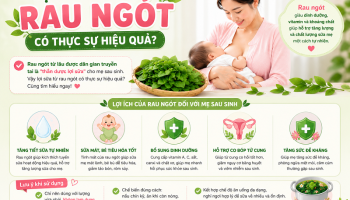 LỢI SỮA TỪ RAU NGÓT CÓ THỰC SỰ HIỆU QUẢ?