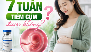 THAI 7 TUẦN TIÊM CÚM ĐƯỢC KHÔNG? BÁC SĨ TRẢ LỜI