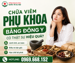 dong-y-chua-viem-phu-khoa