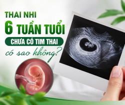 thai-nhi-6-tuan-chua-co-tim-thai