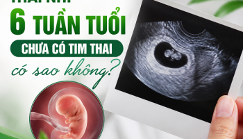 THAI NHI 6 TUẦN CHƯA CÓ TIM THAI CÓ NGUY HIỂM KHÔNG?