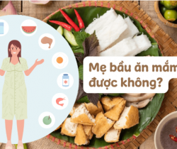 bau-an-mam-tom-duoc-khong