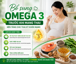 bo-sung-omega-3-truoc-khi-mang-thai-duoc-khong