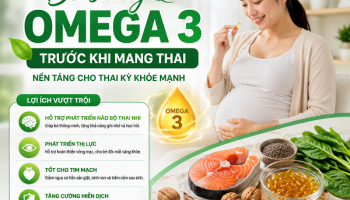 Bổ sung Omega 3 trước khi mang thai được không?