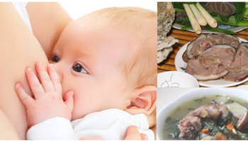 Mới đẻ ăn thịt chó được không? Lưu ý cho mẹ ở cữ