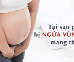 dang-bau-bi-ngua-vung-kin