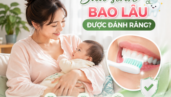 Sau sinh bao lâu thì được đánh răng? Bác sĩ giải đáp chi tiết